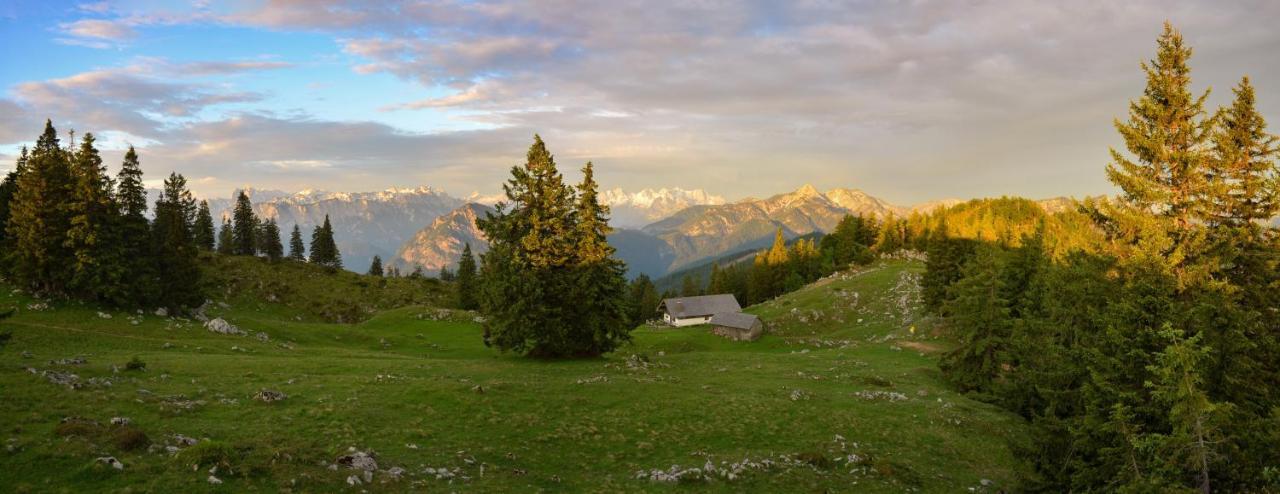 Chalet Harmonie Inzell Exterior foto